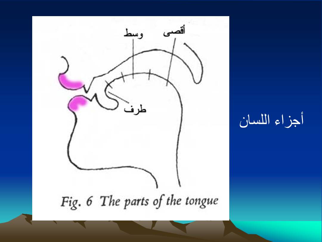 تجويد الحرف - مخارج الحروف